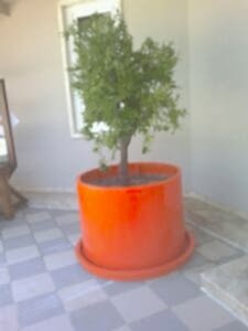 Özel İstek Antalya Yeditepe Koleji Özel Üretim Saksı Uygulaması