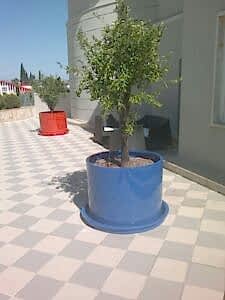 Özel İstek Antalya Yeditepe Koleji Özel Üretim Saksı Uygulaması